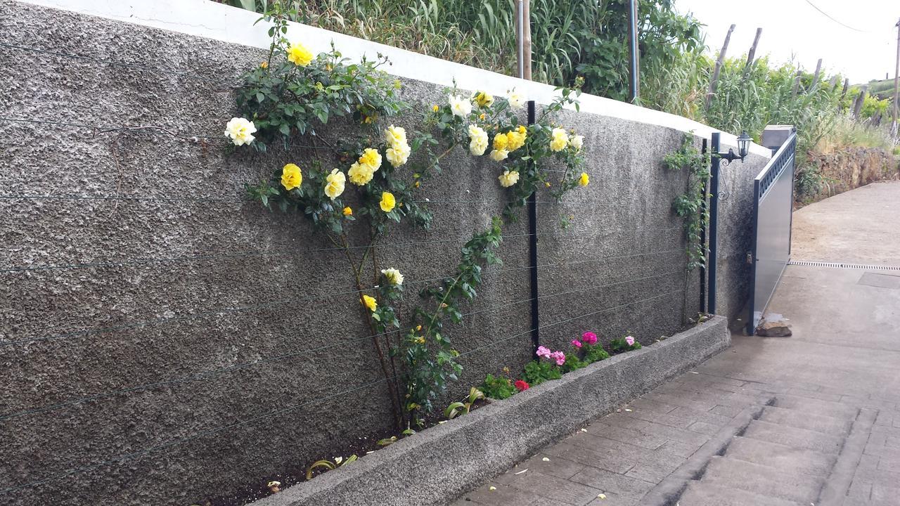 Paraiso Das Flores Estreito Da Calheta Eksteriør billede