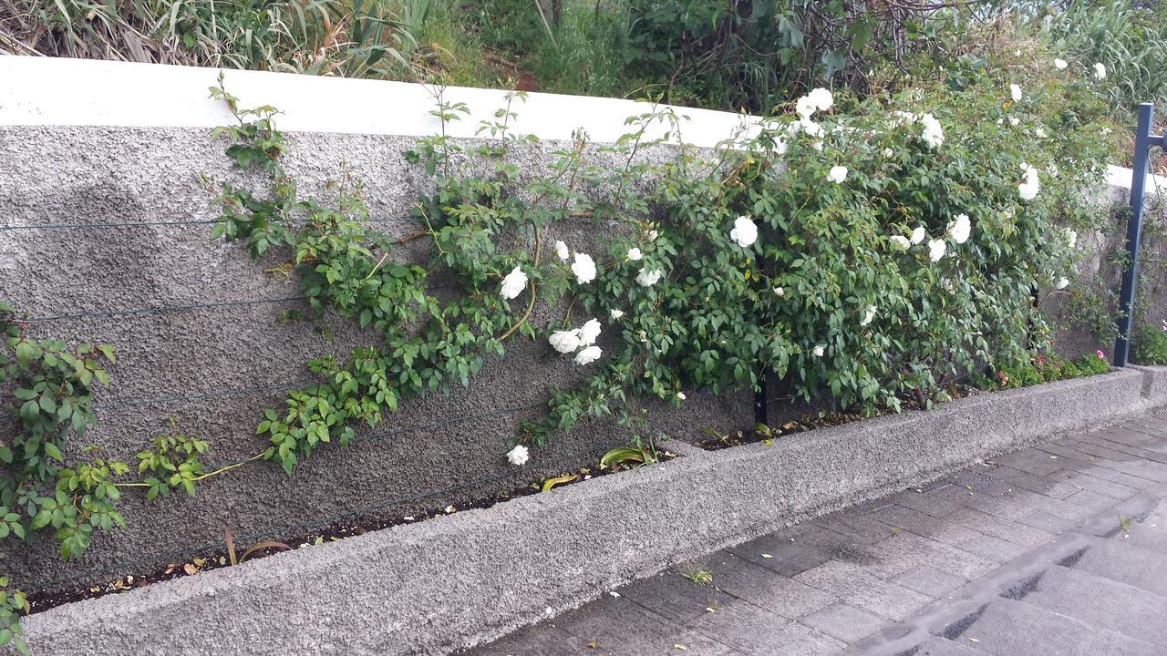 Paraiso Das Flores Estreito Da Calheta Eksteriør billede