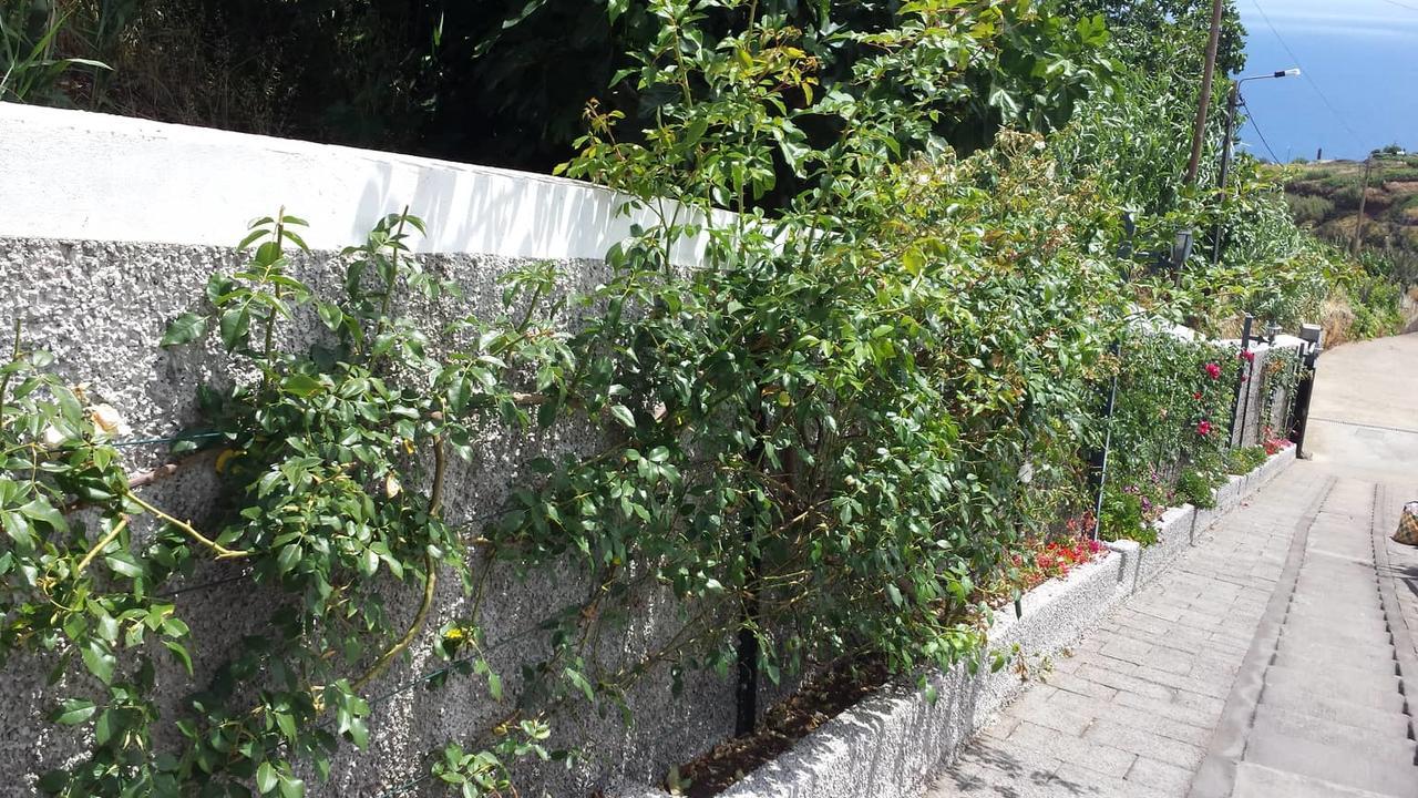 Paraiso Das Flores Estreito Da Calheta Eksteriør billede